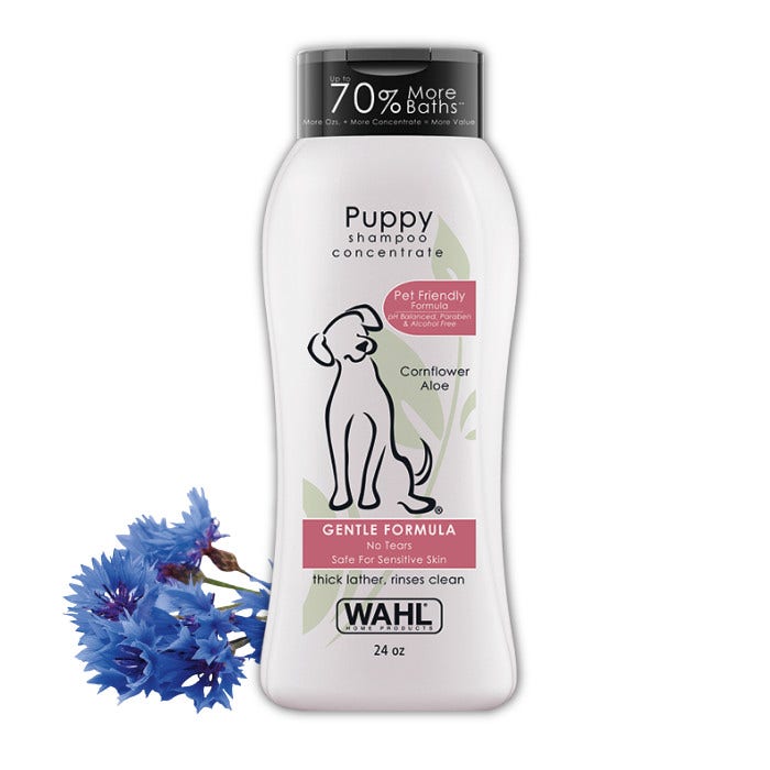 820002_-_puppy.pt01_1.jpg